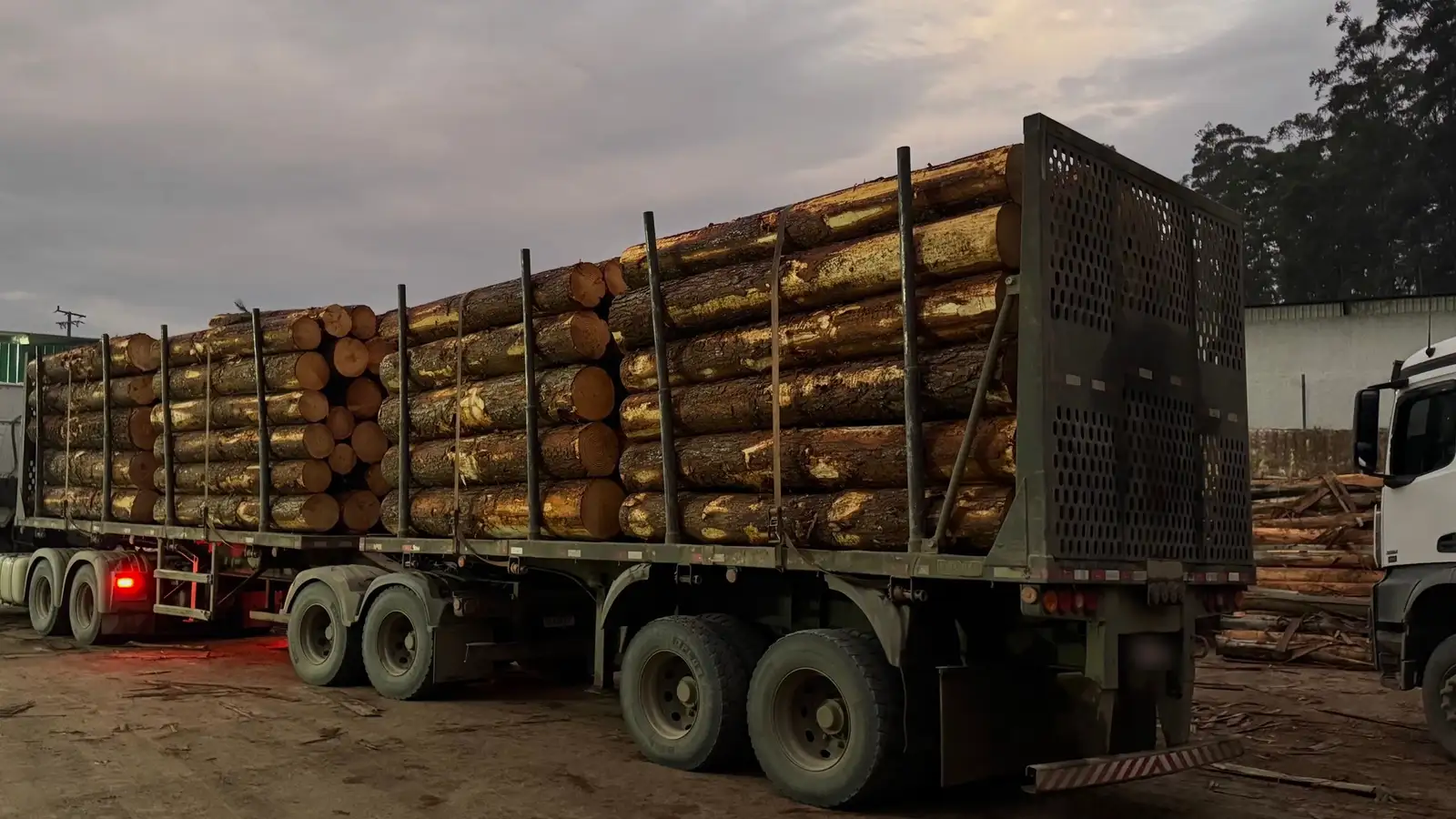 Carreta carregada de toras de pinus chegando à fábrica da LG Madeiras
