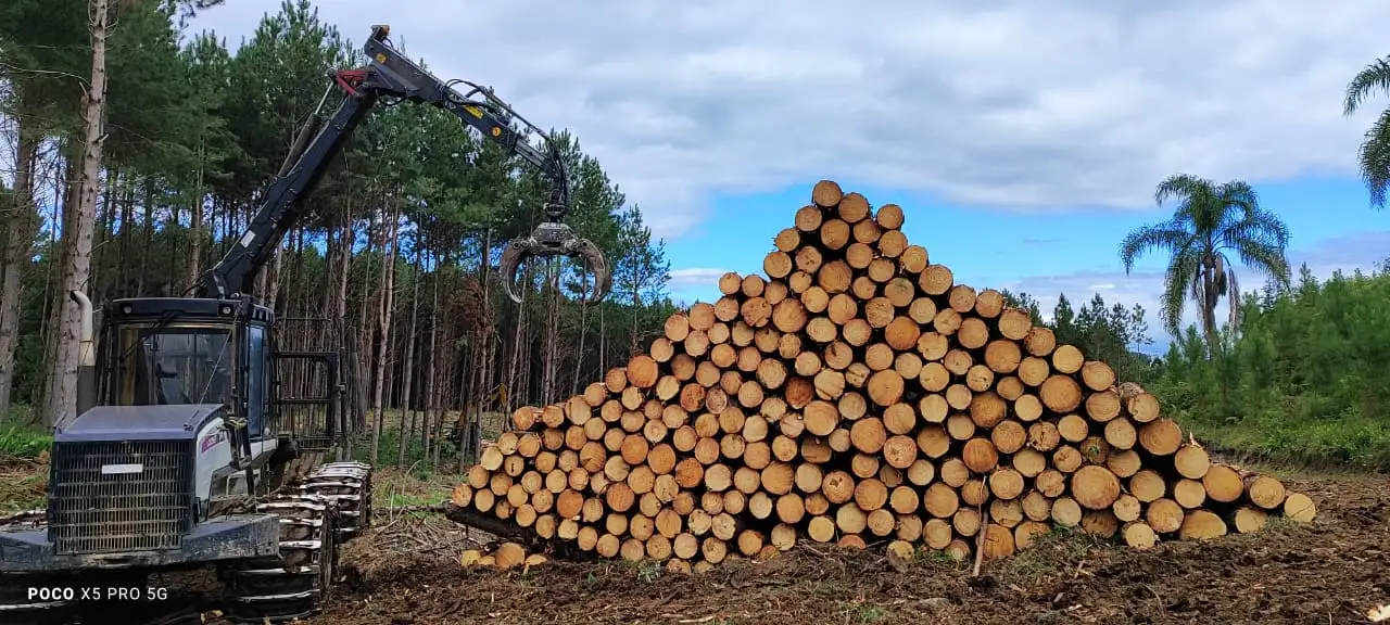 Forwarder ao lado de uma pilha de toras de pinus na floresta da LG Madeiras