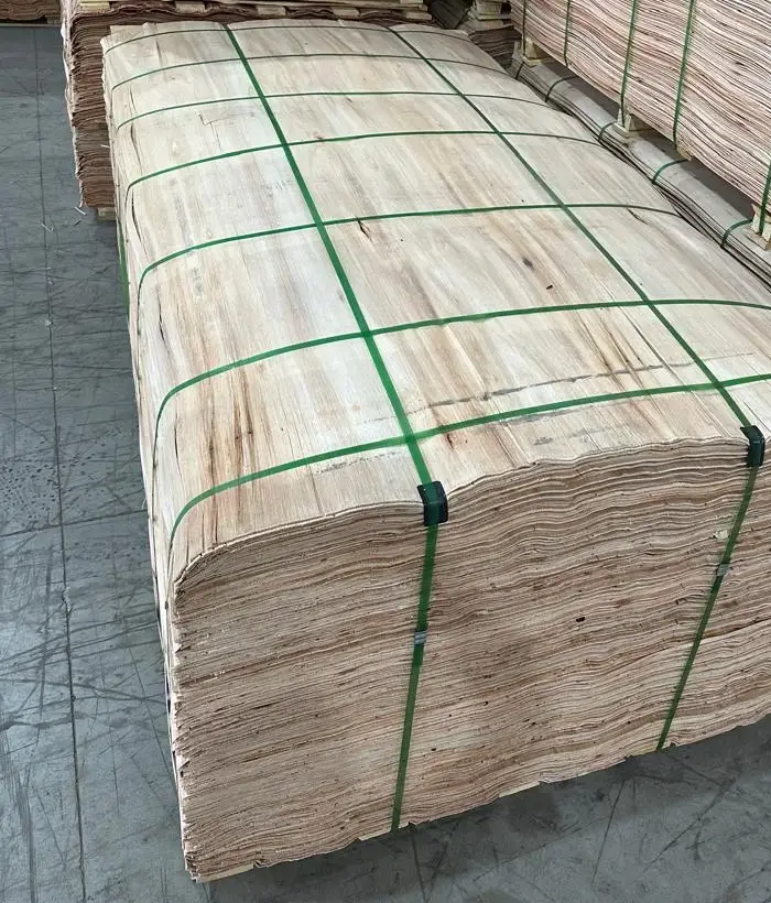 Pacote de lâminas de eucalipto amarrado com fita plástica, pronto para embarque